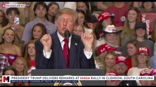trump: