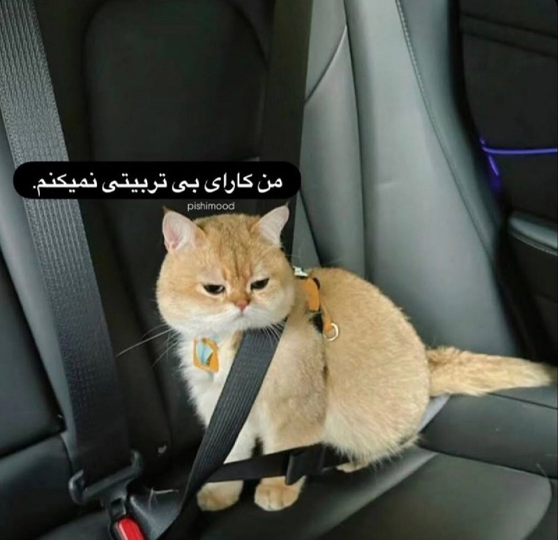 دخترا :: وقتی بات قهره و میخوای ببوسیش:- @iDokhtara