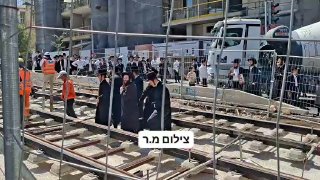 אלי הירשמן