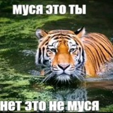 Ящерный хвост
