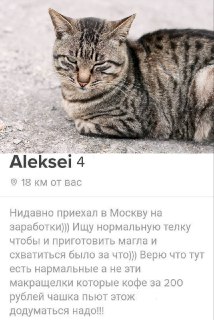 Кототиндер для животных из приютов разработали в Алтайском крае — чтобы успешнее пристраивать одиноких хвостатых. Мэтч происходит по психотипам шерстяного и потенциального хозяина. Итог: ноль возвращённых усатых ублюдков за последние полгода.Методику приду