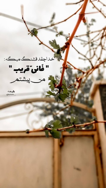 مرکز نزدیکی به خدا: #آیه_گرافی @tobe94
