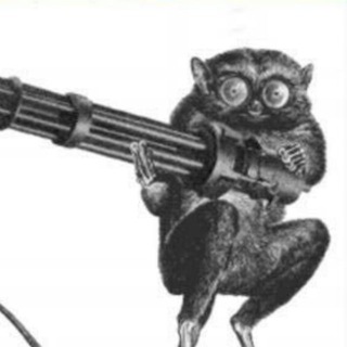 Su.Fido.Talks avatar