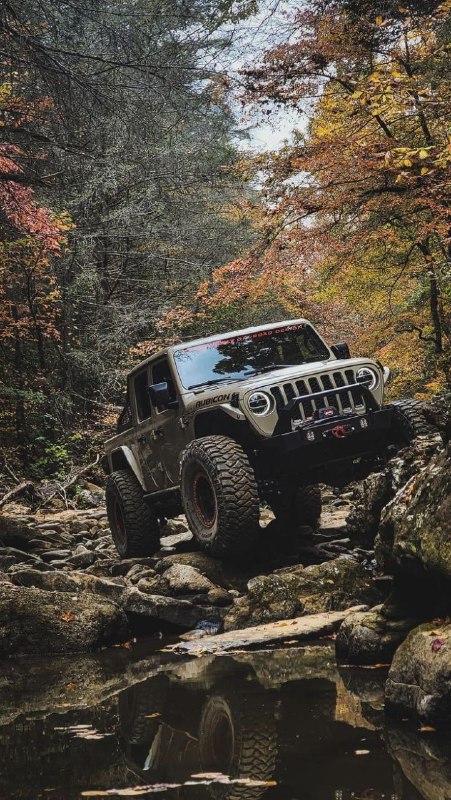 Компания Jeep отзовет без малого 200 тысяч внедорожников Wrangler и Grand Cherokee в гибридных верси