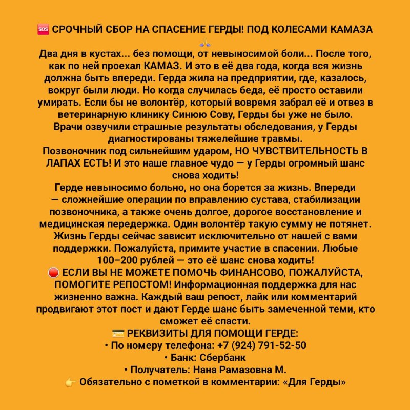 🆘 Срочный сбор на спасение Герды!

Двухлетнюю...
