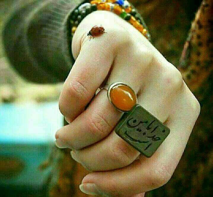 🌹روزگاری غریب🌹: اینو همیـــــشه یادت باشہقـــول هایی رو کـہهنگـامِ طوفــــان به خــــــدا میدیهنگــــامِ آرامـــشفراموش نکــــنی!🆔 : 👉 @