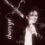 ⁣⁣𓆩⁣⁣𝒔𝒉𝒓𝒊𝒎𝒑⁣⁣⁣⁣ - MJ𓆪