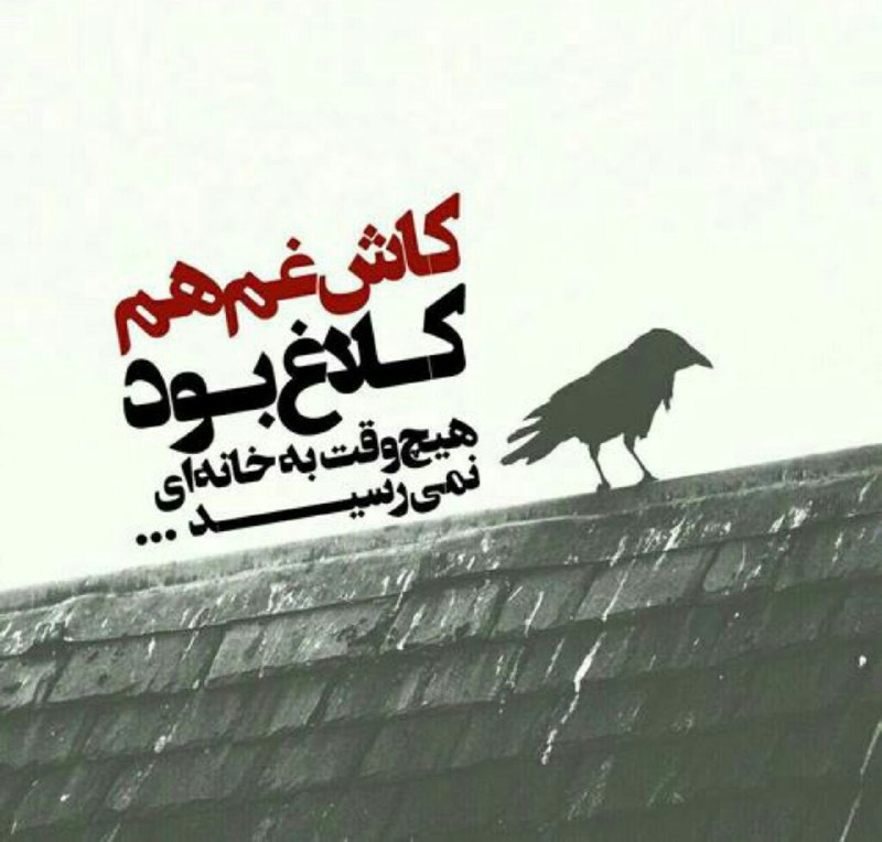 🌹روزگاری غریب🌹: کاش غم هم کلاغ بود هیچ وقت به خانه ای نمیرسید ...🍃🌸🆔 : 👉 @roozegarigharib 👈