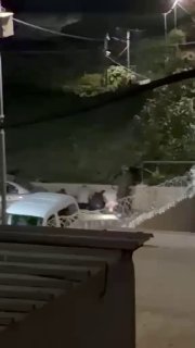 מתנחלים, מלווים בכוחות כיבוש, תוקפים את משפחת צאלום באזור "בית עינון", צפונית לחברון, עוצרים את התושבים ותו…
