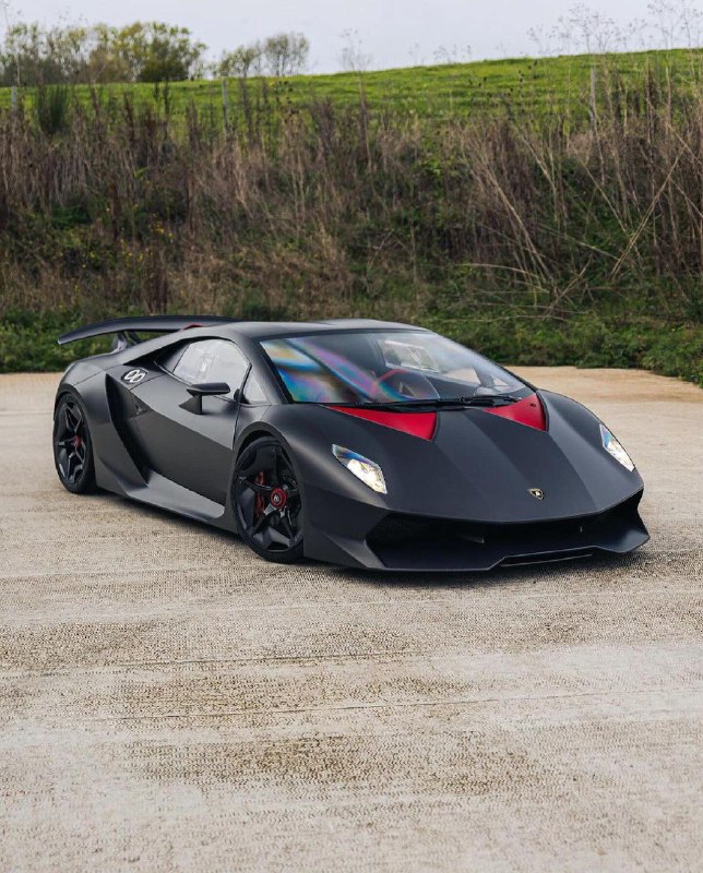 Lambo 5