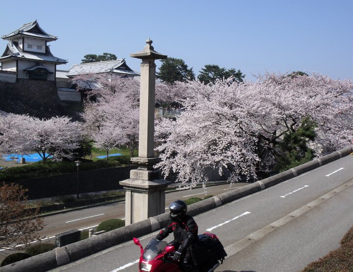 回憶第一次日本賞櫻之旅(上)--足羽川/兼六園/松川