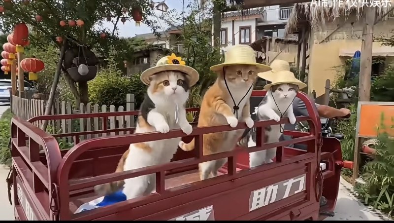 最近喜欢的一些内容IP最近喜欢的一些内容IP