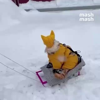 Визуализируем дорогу в офис в первый рабочий день года. Вы там как, держитесь? За видос спасибо подписчику из нашего нового чата — вступайте, а то что вы.❗ Подписывайся на Mash