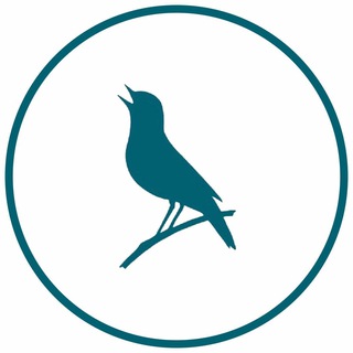 Telegram profile photo for Курский пост