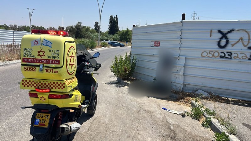 אור רביד