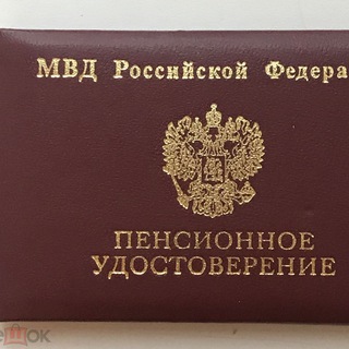 Заметки Палыча Telegram Group Link