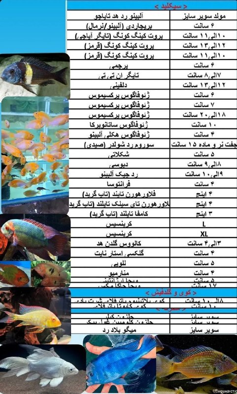 Aquatic ( مجموعه آکواتیک ): یکی از صفحات اصلی لیست جا مانده،از بس که تنوع بار بالاست!😎در یک آن شما به این تنوع دسترسی دارید🤝@Aquaticaquarium