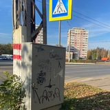 щп пес