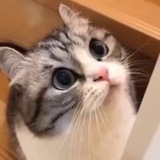 mmmiiipppooohhh!!!