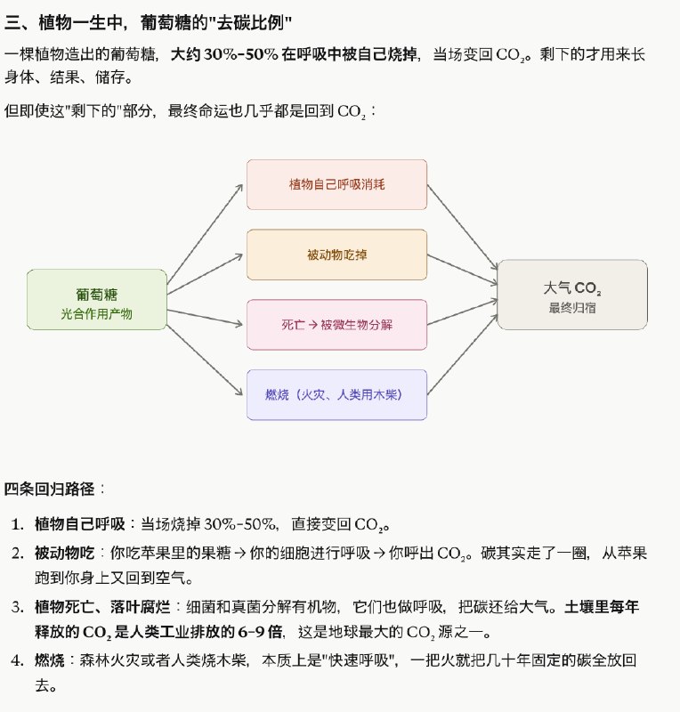 Claude 是真的好用，这也是官方敢随便封号的原因，有底气，你不用，有的是人用