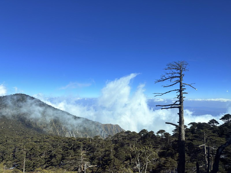 苍山上面原来是这样的风起云涌海拔 3900 米之上，紫外线爆表，变色眼镜第一次变成了纯黑色，看手机都看不清意外的是暴晒+零度气温，竟然不觉得冷氧气是人类的最好的朋友苍山上面原来是这样的风起云涌海拔 3900 米之上，紫外线爆表，变色眼镜第一次变成了纯黑色，看手机都看不清意外的是暴晒+零度气温，竟然不觉得冷氧气是人类的最好的朋友