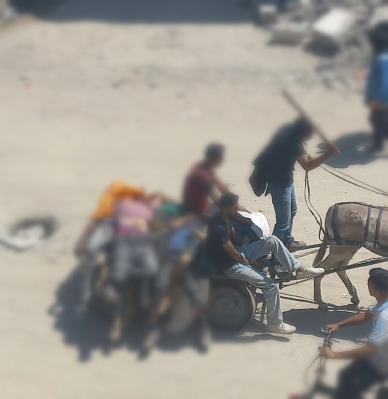 רשת חדשות ירושלים