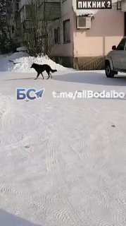 В Иркутской области задержан глава Бодайбинского городского поселения Алексей Ботвин — источники «Вести-Иркутск», ТАСС и «Коммерсанта»Причина задержания не уточняется, официальной информации пока нет.В конце января более 1300 жителей Бодайбо остались без в