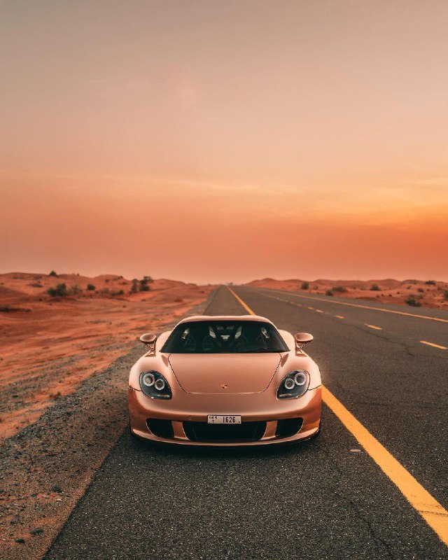 Porsche Carrera GT 7