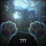 M?ss k?ts3