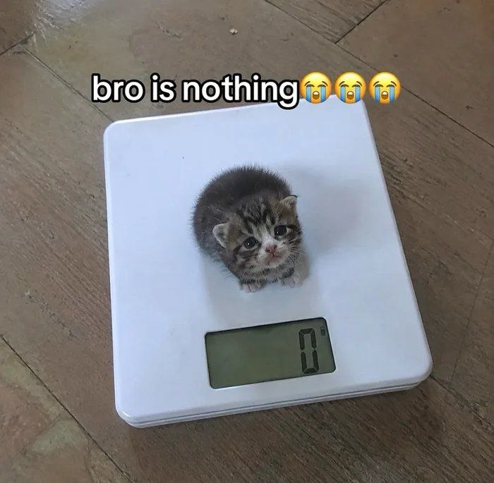 9gag 🖤: عبدلا بعد از پی‌پی کردن@official9gagfa