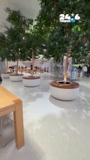 🇮🇱 In one of the Apple stores in New York, extinguished tools are part of the biodegradable page software in the store, because it spoiled the design of the space. The cover is hidden from Asti.