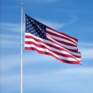 American forex trading Telegram Group Link