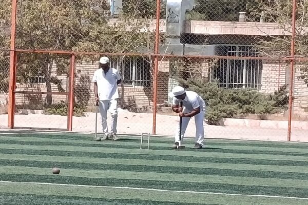 اخبار خراسان جنوبی(بیرجند): قاین میزبان رقابت‌های کروکت منطقه ۲ کشور؛ چهار تیم راهی لیگ شدندبیرجند- رئیس هیئت گلف خراسان جنوبی از پایان رقابت‌های گل