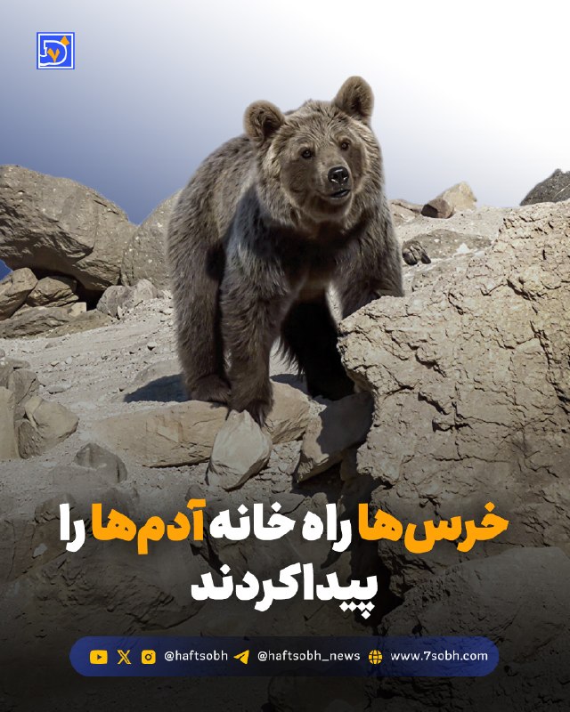 محمد تاجیک/دیپلماسی صله رحم را جدی بگیریم: گزارش #محیط_زیست روزنامه هفتصبح🔴 خرسها راه خانه آدمها را پیدا کردندکاهش منابع غذایی در زیستگاههای سبلان، همراه با بر