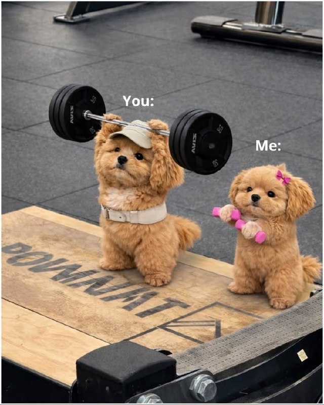 یلووینگ؛: Me and you?