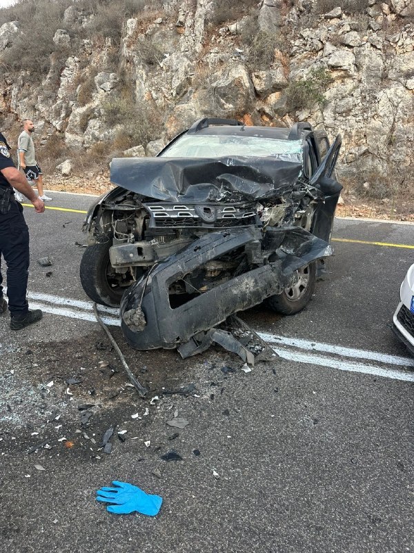 שרון קנובליך