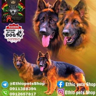 🇪🇹Ethio Pets Shop🐾🐕‍🦺 Telegram Group Link
