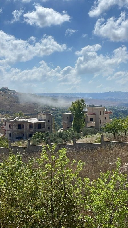 עלי שועיב - חדשות הגבול 🇱🇧