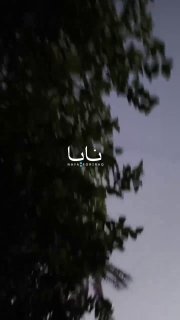 שהיד 136 לכיוון הבסיס האמריקאי