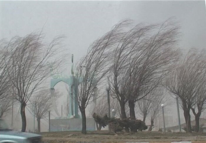 تایباد آنلاین: 🌪️ افزایش تندبادهای لحظهای و خیزش گردوخاک در #تایباد طی ۲ روز آینده: سرعت باد به ۶۰ تا ۸۰ کیلومتر در ساعت می رسد🔸 بر اس