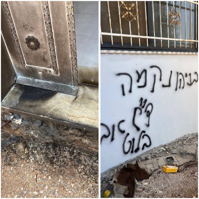 ספיר ליפקין