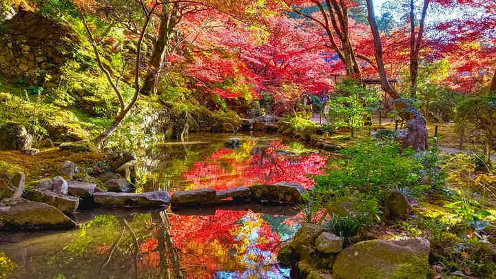 滋賀縣湖東三山--金剛輪寺賞楓記
