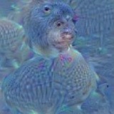 ADMIRAL First AI Dog