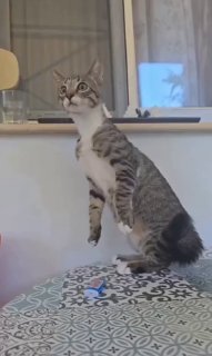 ובכן, מאוד מעניין!!! לילה טוב! זלוי הוכחה טלגרם זלוי הוכחה ב-MAX.