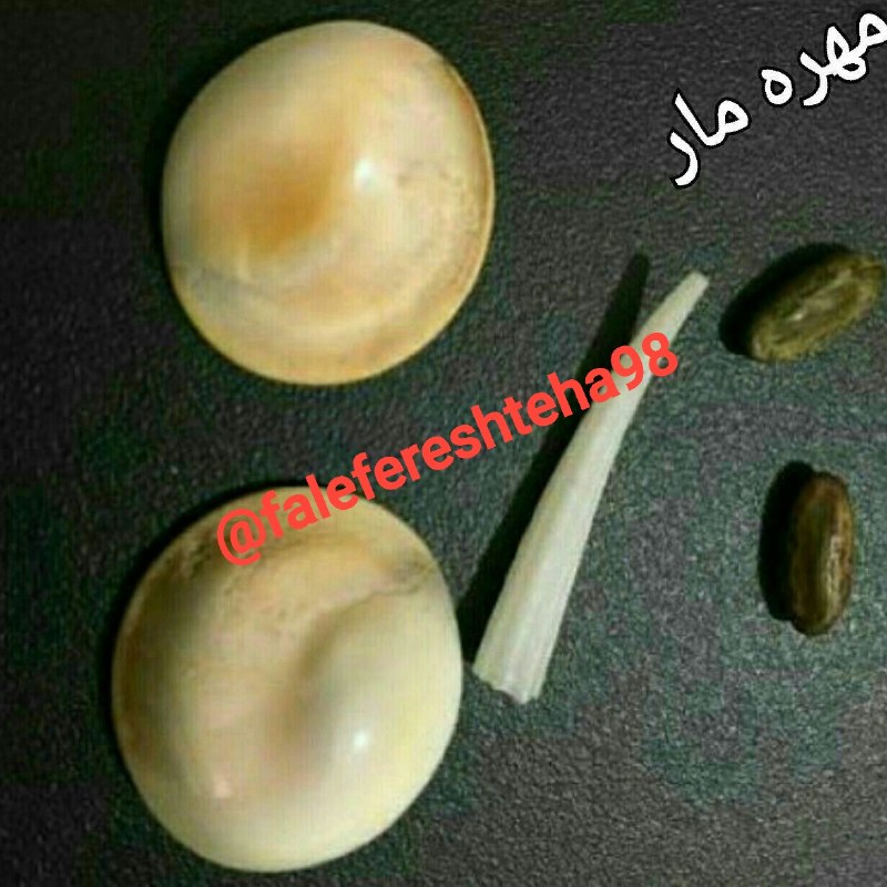 🔮فرشته های آسمانی🔮: ☝️☝️☝️☝️☝️☝️☝️☝️☝️☝️👌خواص مهره مار اصلی بسیار زیاداست👌جذب ثروت وشانس👌موفقیت در امور👌سهولت درکارها👌جذب جنس مخالف ومحبت بی