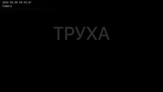 t.me