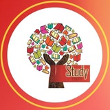 StudyRoom: подготовка к ЕГЭ и ОГЭ репетитор РФ