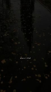 Get married! It will bring you tranquility, pleasure & comfort | Sheikh Abdurrazzaq Al-Badr