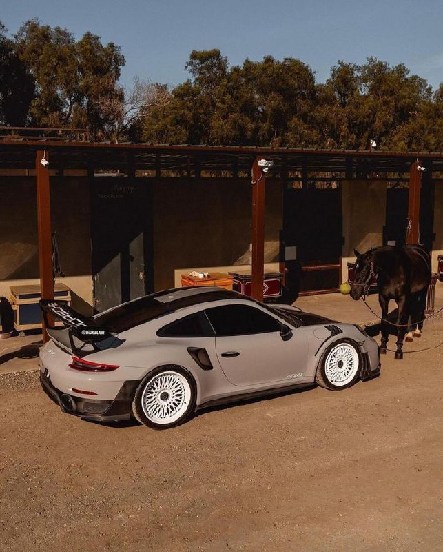 Porsche 911 GT2 rs 5