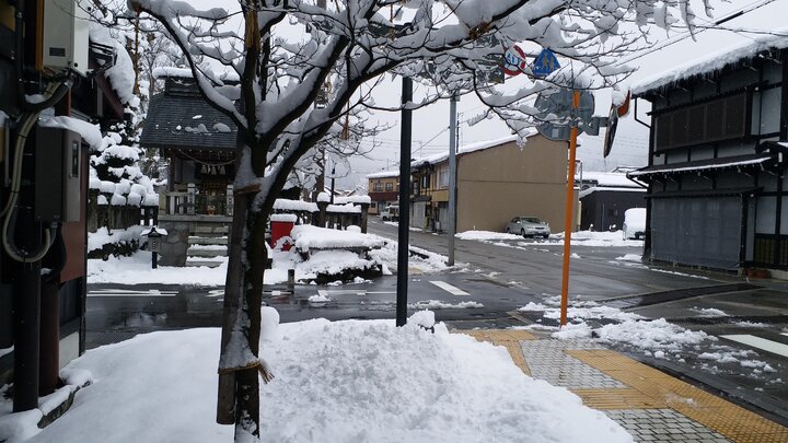 2018一人跨年旅（DAY4-5高山）